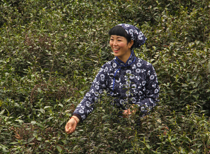 直播跳舞5